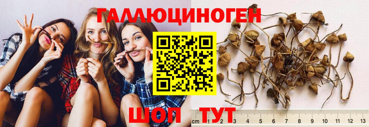 Галлюциногенные грибы Cubensis  Вход с VPN  даркнет сайт  Мелеуз 