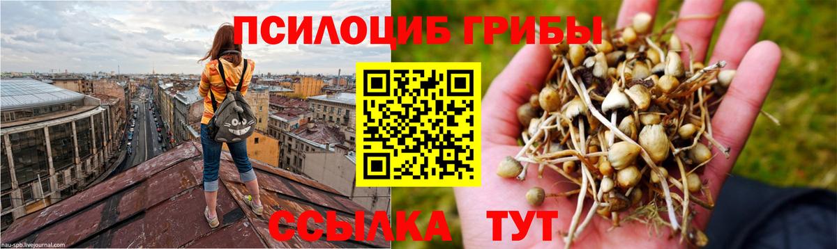 Галлюциногенные грибы мухоморы Мелеуз